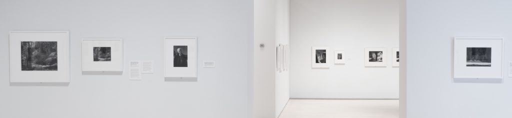 Ansel Adams: Performing the Print. Installation view. Phoenix Art Museum, 2020.
