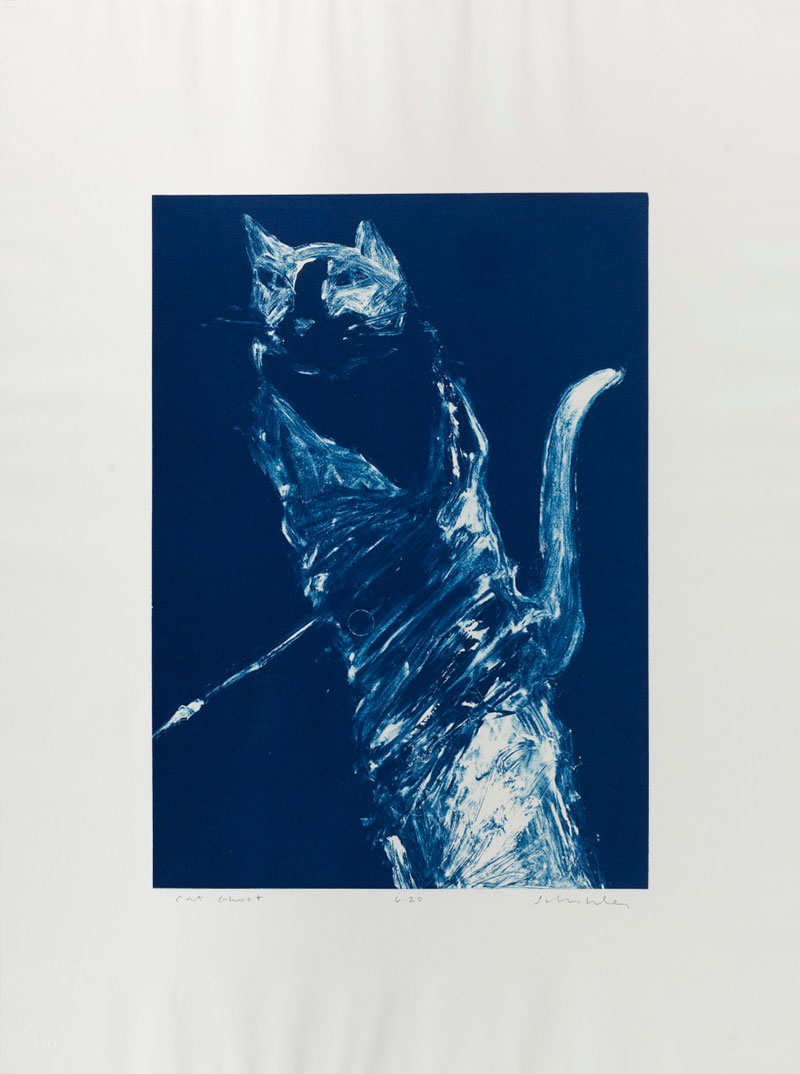 Fritz Scholder, Cat Ghost, 1979. Cyanotype cliche verre. Gift of Shahrokh Rezvani.