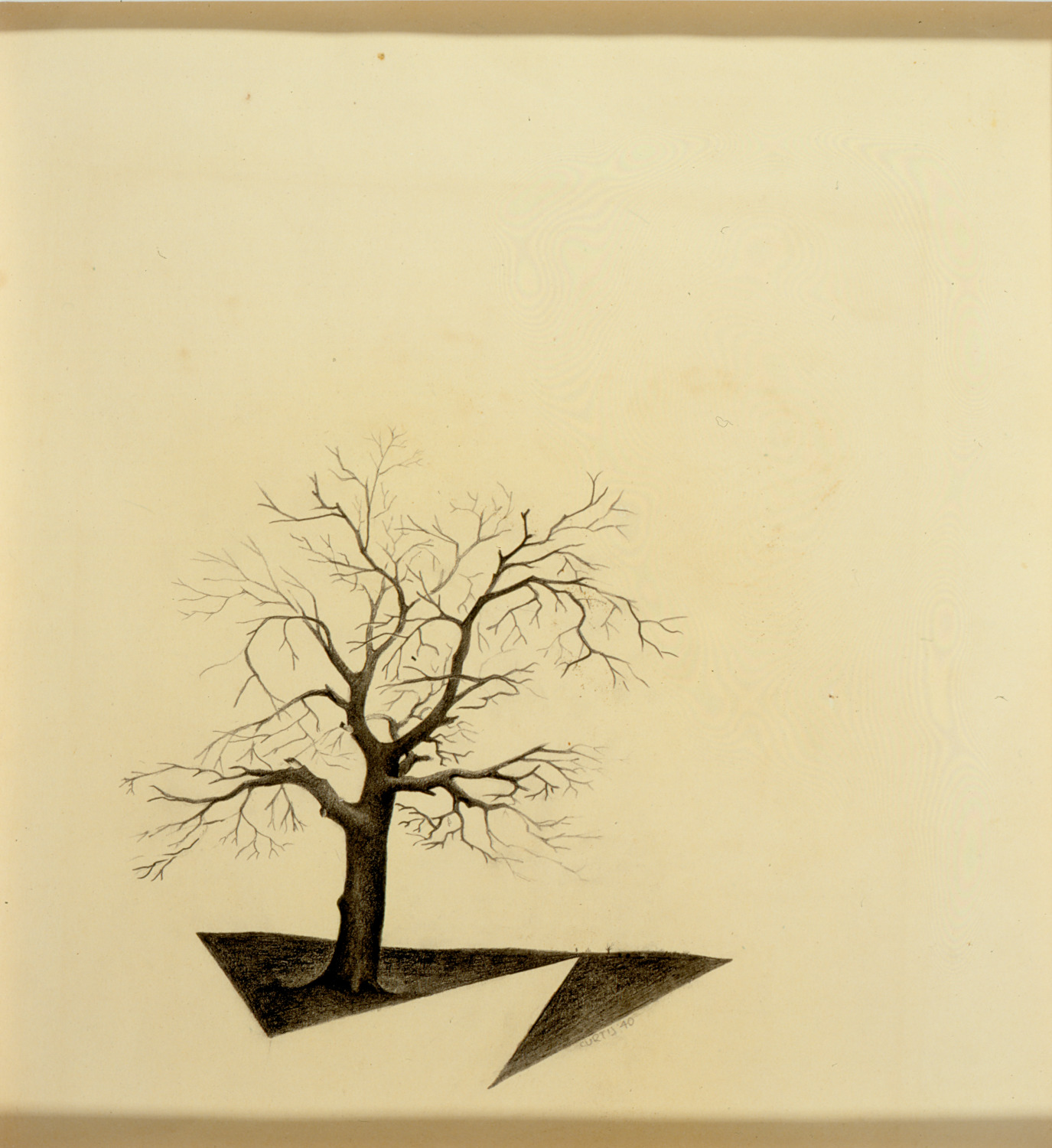 Philip C. Curtis, Landscape with Tree (Paisaje con árbol), 1940. Pencil on paper. Gift of the Philip C. Curtis Restated Trust U/A/D April 7, 1994.