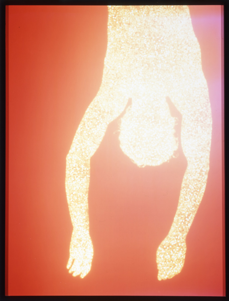 Christopher Bucklow, Guest (M.B., 3:14 p.m., 19th August 1995), 1995. Cibachrome print. Gift of J. Cavenee Smith and Wayne King.