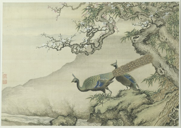Shen Quan, Peacocks (Pavos reales), 1745. Ink and color on silk. Museum purchase.