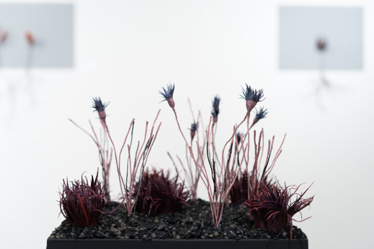 Emily Ritter: In Her Own Words - Phoenix Art Museum