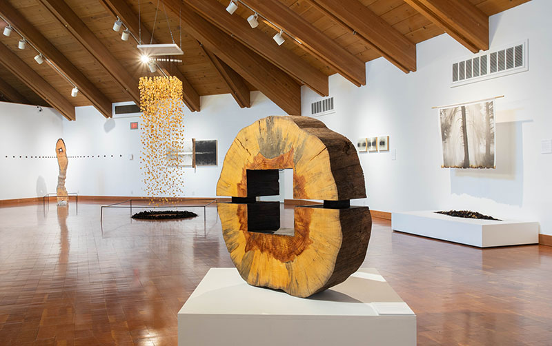 Installation view of Rethinking Fire, 2022 at World Forestry Center Discovery Museum. Courtesy of the artist, Photo: Jonathan Ley.