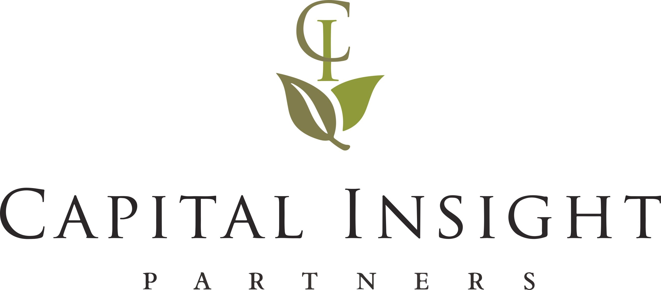 Capital Insight Partners logo