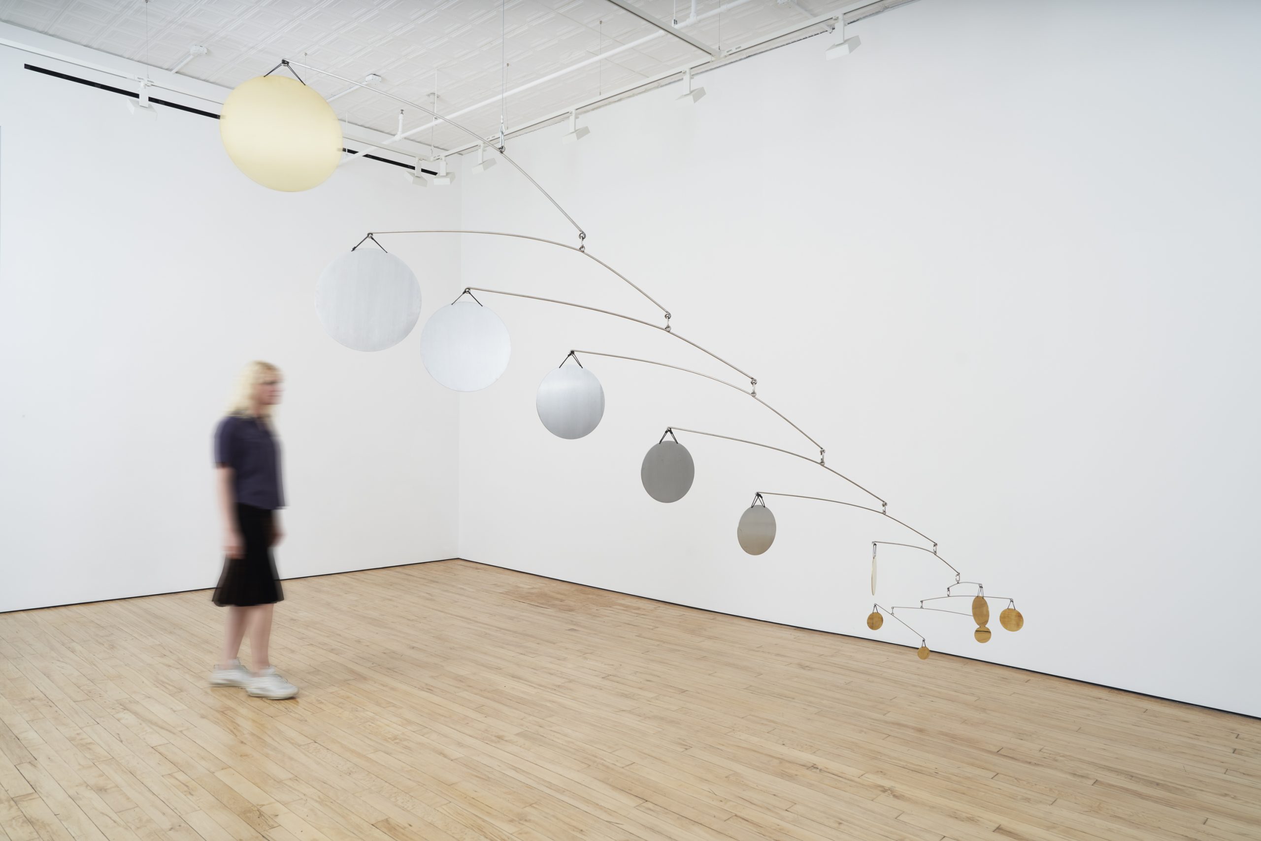 Phoenix Art Museum acquires monumental hanging sculpture cast from